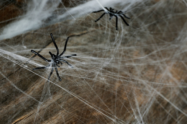 Cobweb with spiders on wooden background - Фото, зображення