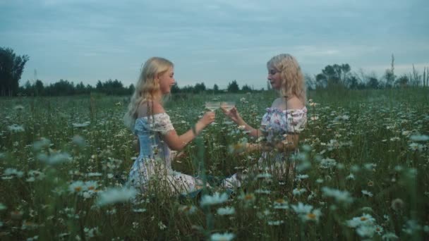 Two blondes sitting on the field and drinkind white wine. Mid shot - Footage, Video