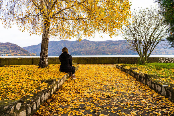 Autumn leaves fallen on alone woman walking on the autumn alley - Zdjęcie, obraz