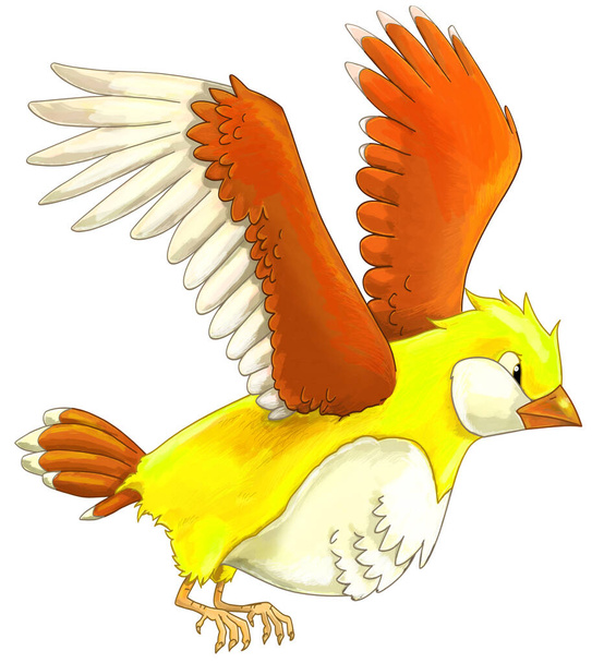 Cartoon exotic colorful bird flying isolated illustration for children - Photo, image