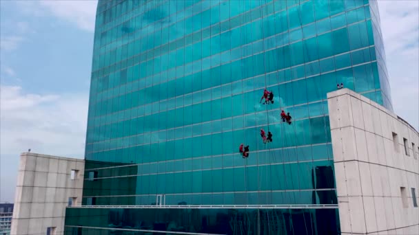 Przemysłowy alpinista myje okna nowoczesnego wieżowca. Niebieski stonowany obraz. - Materiał filmowy, wideo