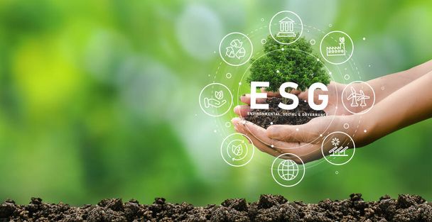 Kézzel ültetett fák ESG ikon koncepciója a környezeti, társadalmi és irányítási szempontokra a fenntartható és etikus üzleti életben a zöld hátterű, hálózatba kapcsolt kapcsolatokon. - Fotó, kép