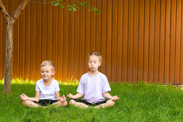 A boy and a girl are meditating in the garden on the grass. On a sunny summer day, a girl and a boy of six years old (of European appearance) are meditating in the garden. - Фото, зображення