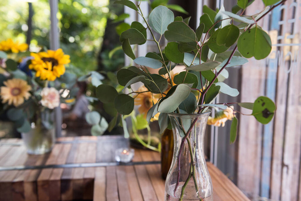 рослина і квітка на горщику прикрашеній на дерев'яному столі кафе кав'ярень
 - Фото, зображення