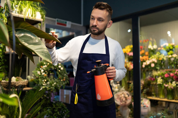 florista homem cuidando de plantas envasadas regando-os com uma garrafa de spray de jardim. - Foto, Imagem