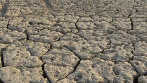 Tierra seca agrietada por sequía en el fondo de un lago - Imágenes, Vídeo