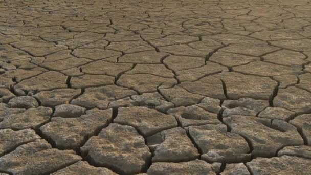 Orilla agrietada por la sequía de un lago sin agua - Imágenes, Vídeo