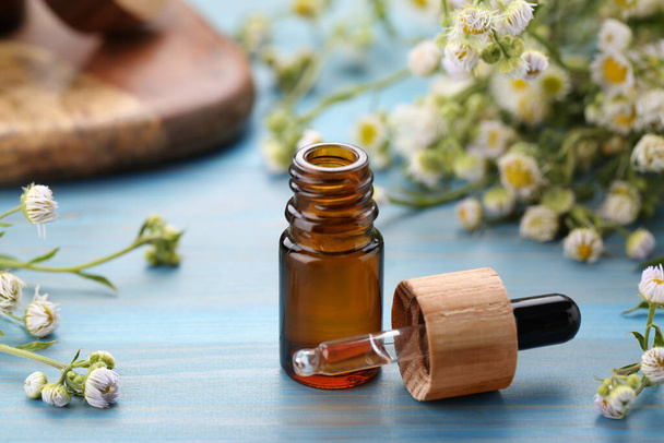 Bottle of essential oil with chamomile flowers on light blue wooden table, closeup - Fotó, kép