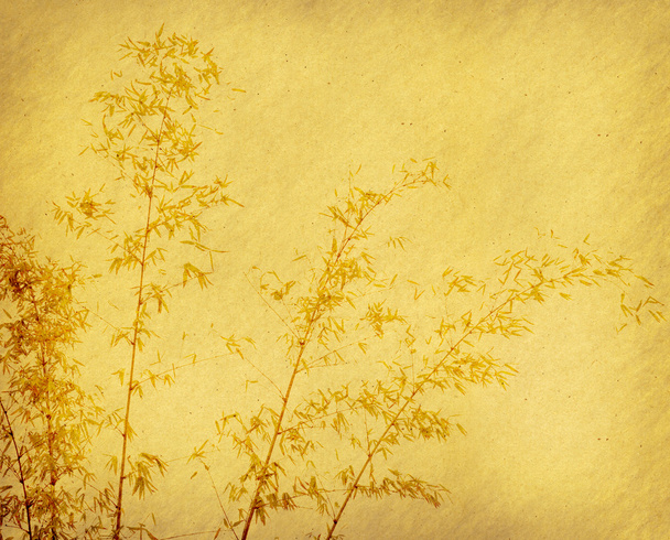 A régi grunge papír-bambusz - Fotó, kép