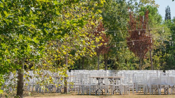 Sonbahar doğasında ağaçların arasında beyaz sandalyeler ve masalar, açık hava etkinliği. Yüksek kalite fotoğraf - Fotoğraf, Görsel