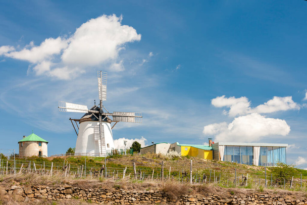 windmill with vineyard in Retz, Lower Austria, Austria - Photo, Image