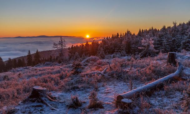 Wschód słońca w zimowym krajobrazie niedaleko Velka Destna, Góry Orlickie, Czechy Wschodnie, Czechy - Zdjęcie, obraz