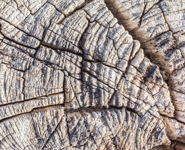  Θολή ρωγμές στο φόντο του ξύλου - Φωτογραφία, εικόνα