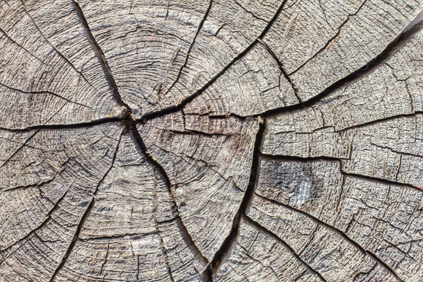  Размытие трещин на фоне дерева - Фото, изображение