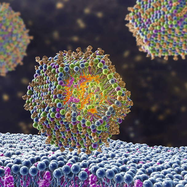 Lipid nanoparticle siRNA antivirals entering a human cell. A type of nanoparticle delivery system, antiviral drug used against Covid-19, 3D illustration - Photo, Image