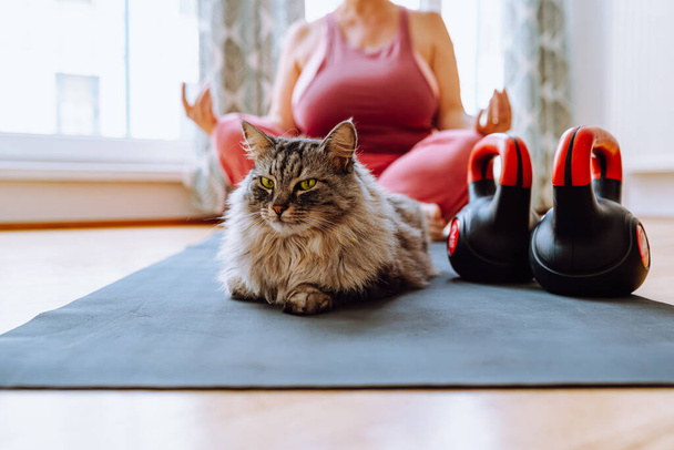 Dom treningowy ze zwierzętami. leniwy szary kot, leżący na macie treningowej, dołączył do właściciela w grach sportowych. postać nierozpoznawalnej kobiety w średnim wieku ze wspaniałymi postaciami w rozproszeniu, joga stanowi medytację - Zdjęcie, obraz