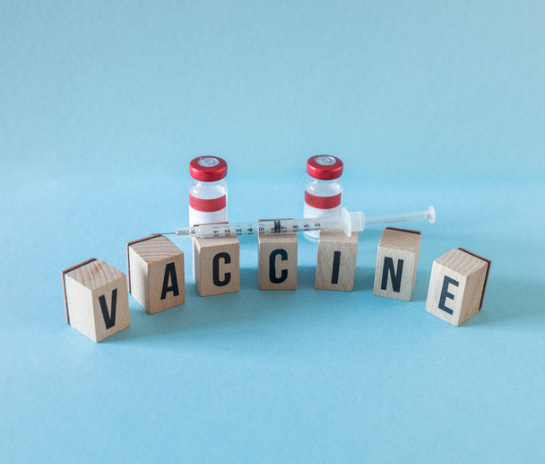 VACCINE Souvenir mit zwei Viren und einer Spritze mit Copy Space-Konzept Medizin covid und Grippe - Foto, Bild