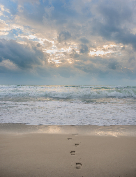 Footprints on the beach - Fotó, kép
