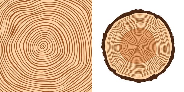 Corte de tronco de árbol redondo, aserrado de pino o roble. Madera aserrada, madera. Textura de madera marrón con anillos de árbol. Dibujo dibujado a mano. Ilustración vectorial. - Vector, Imagen