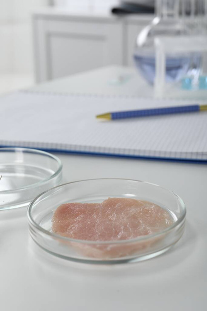 Petri dish with piece of raw cultured meat on white table in laboratory, space for text - Foto, Imagem