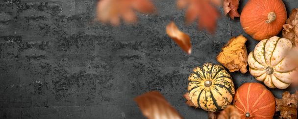 A seasonal thanksgiving fall background with pumpkins and falliing leaves. Autumn halloween season layout. - Foto, imagen