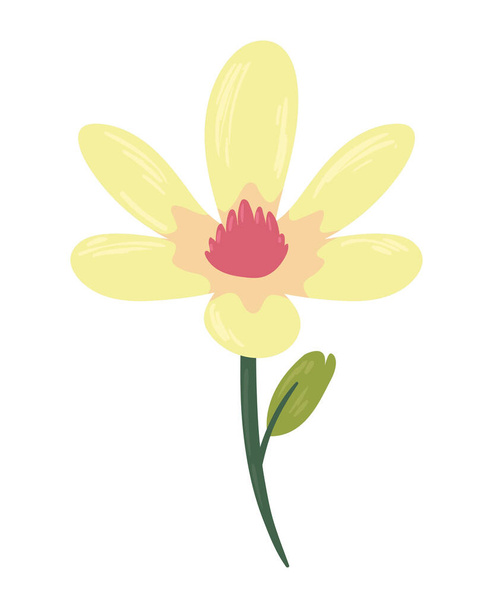 gele en rode bloem natuur - Vector, afbeelding