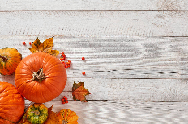 Pumpkins and leaves on white wooden floor - Photo, image