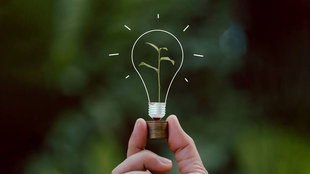 alternative energy, Renewable Energy, saving energy, electricity light lamp from solar and finance, finance banking growth, energy stock investment, tree growing up on coin and lightbulb on soil - 写真・画像