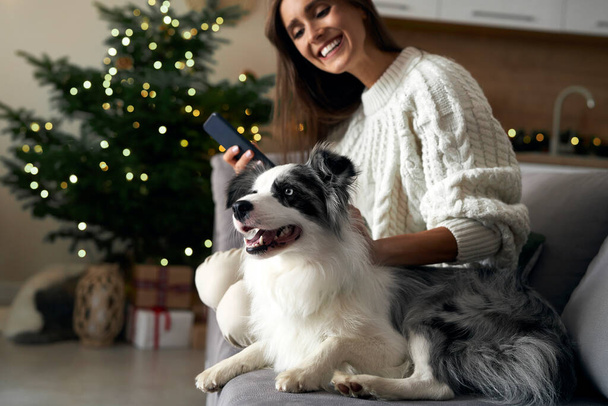 Woman with dog chilling at the sofa with mobile phone during the Christmas - Photo, Image