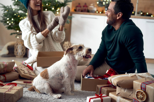 Petit chien assis à la maison pendant les cadeaux de Noël d'ouverture - Photo, image