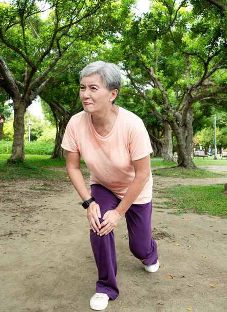 Портрет 60-х літня доросла жінка похилого віку Азія посміхається стоячи з рушником після спорту і насолоджуватися з природою свіжим повітрям в парку
. - Фото, зображення