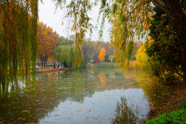 Park landscape in autumn. Autumn landscape on a sunny day. People strolling in the park in sunny weather. colorful trees show the beauty of the autumn season. Botanical park, Bursa, Turkey. - Photo, Image