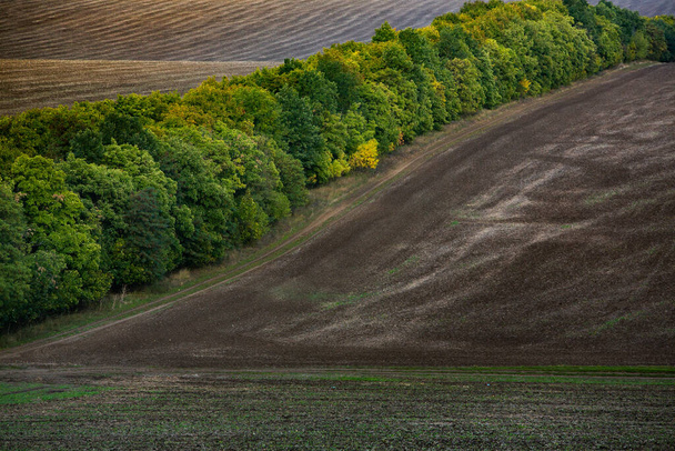 Зображення ландшафту з родючим ґрунтом Республіки Молдова. Чорна орна земля придатна для сівби. Екологічне сільське господарство. - Фото, зображення