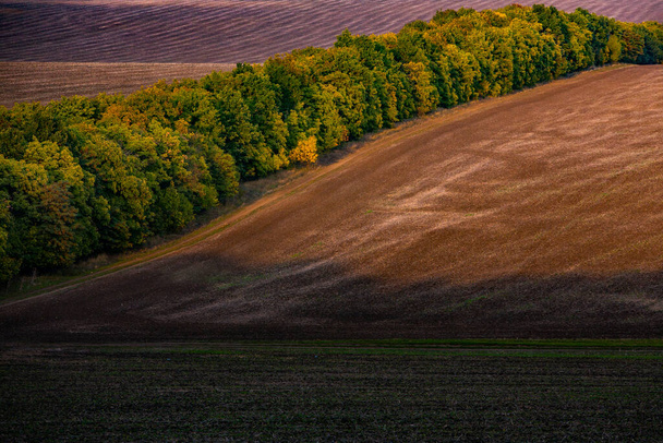 Image of a landscape with fertile soil from the Republic of Moldova. Black arable land good for sowing. Ecological agriculture. - Фото, изображение