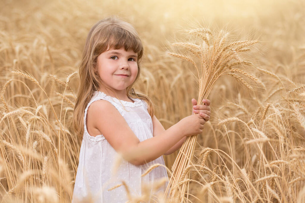 child girl standing in a wheat field and holding wheat spikelets in her hands, smiling, concept of life - Фото, изображение