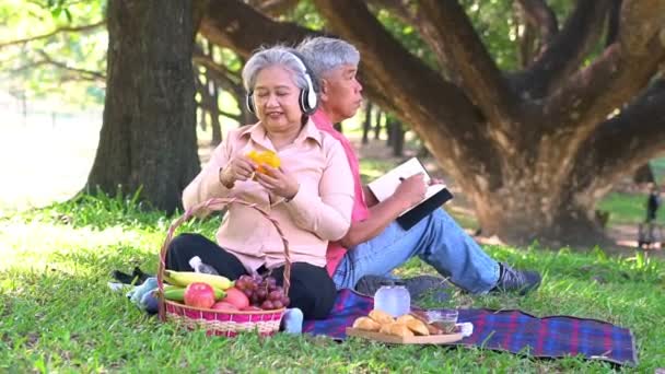 Felice coppia anziana sposi anziani rilassanti e seduti su una coperta nel parco e condividere alcuni ricordi preziosi. Coppia anziana avendo grande momento insieme su un pic-nic. concetto di relazioni mature - Filmati, video