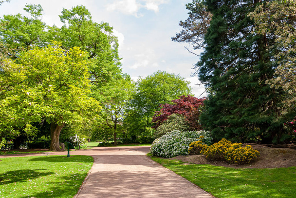 Beautiful landscape in a park in Wolverhampton. - Photo, Image