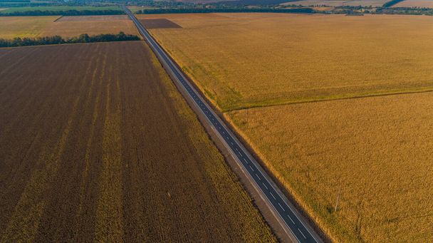 Luchtfoto nieuwe weg asfalt tussen een veld van tarwe en zonnebloem. Drone shot prachtige zomer natuur landschap op een zonnige dag - Foto, afbeelding