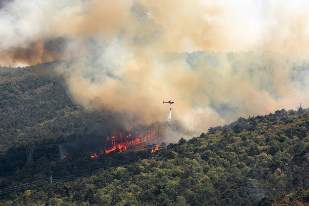 Вертоліт проти лісових пожеж під час сильного вітру і посухи поблизу замку Мірен у Словенії. - Фото, зображення