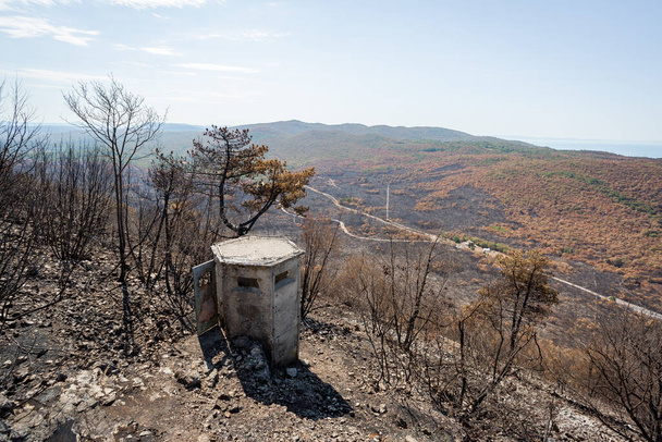 Горящий ландшафт после больших летних лесных пожаров в регионе Карст в Словении - Фото, изображение