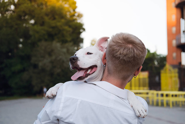 Dog owner hugs his young dog outdoors. Man interacting with a white staffordshire terrier puppy, happiness, joy and positive emotions with pets - Photo, image