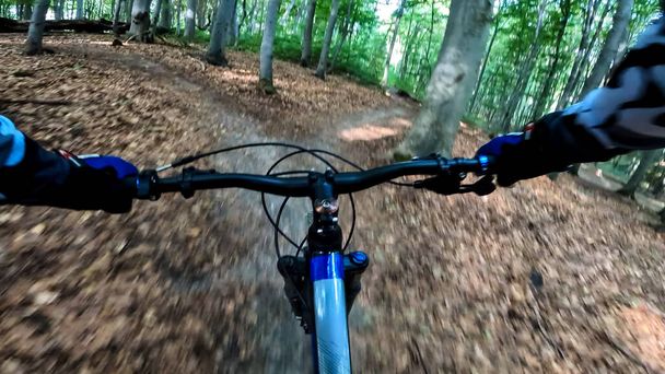 Enduro bicycle ride in the forest trails - Photo, Image