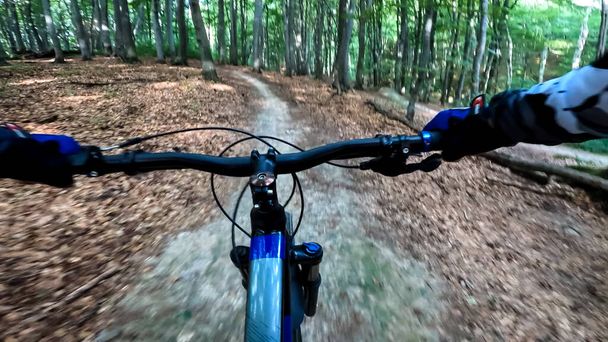 森のトレイルでエンデューロ自転車に乗る - 写真・画像