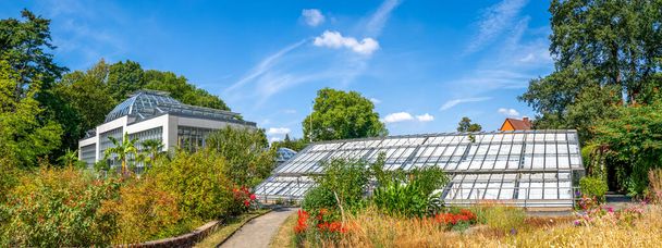 Botanical garden, Giessen, Hessen, Germany  - Zdjęcie, obraz