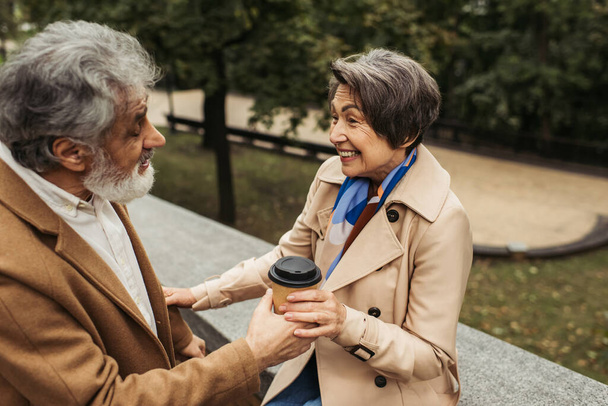 barbu et senior homme donnant tasse en papier à femme gaie en manteau dans le parc - Photo, image