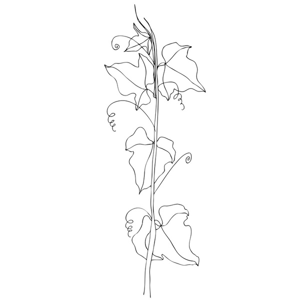 Creeping ivy - Διάνυσμα, εικόνα