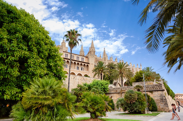 La seu kathedraal en Almudaina in Palma de Mallorca - Foto, afbeelding