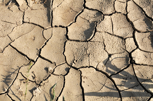 Terreno fértil agrietado en el campo debido al calor  - Foto, Imagen