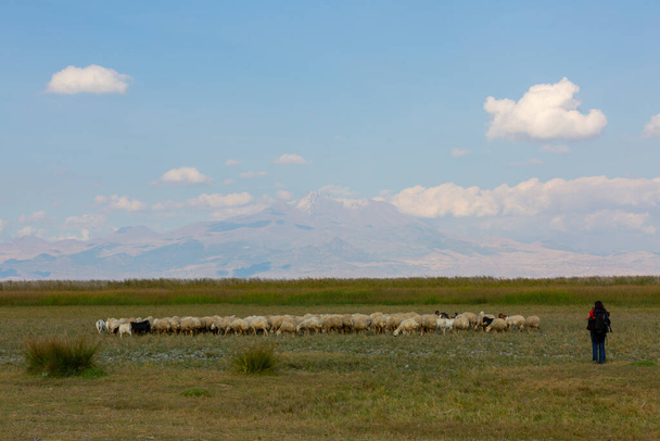 Bela paisagem e Sultanmarshes (paraíso das aves) ao lado da montanha erciyes, Kayseri
 - Foto, Imagem