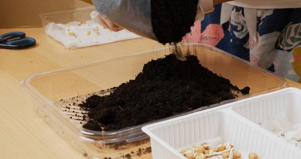 Put soil into the plastic container for plant seeding - Photo, Image